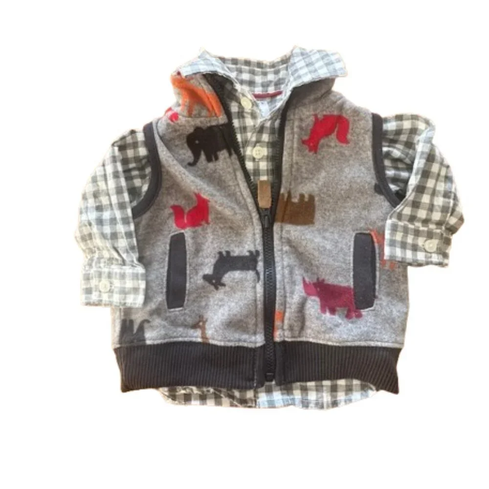 Carter's Size 3 months boys button-down shirt and vest